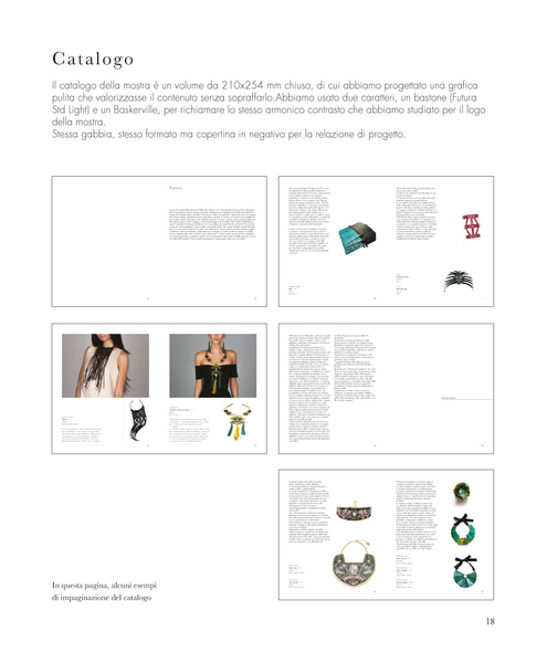 Tesi di Laurea Michele Izzo: Catalogo e allestimento Mostra