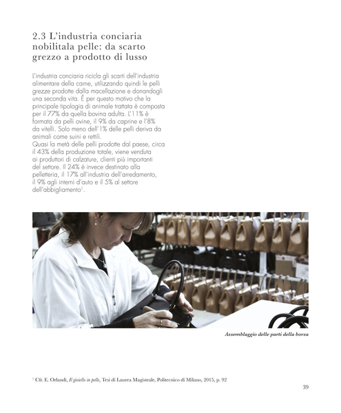 Tesi di Laurea Michele Izzo: Catalogo e allestimento Mostra